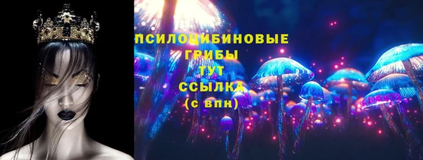apvp Алексин